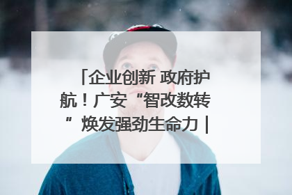 企业创新 政府护航！广安“智改数转”焕发强劲生命力｜市州焕新力
