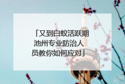 又到白蚁活跃期 池州专业防治人员教你如何应对
