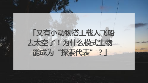 又有小动物搭上载人飞船去太空了！为什么模式生物能成为“探索代表”？