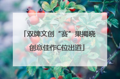 双牌文创“赛”果揭晓 创意佳作C位出道
