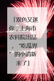 双色又迷你，上海市农科院出品，“吃瓜界”的小清新来了