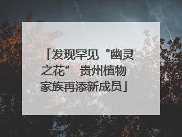 发现罕见“幽灵之花” 贵州植物家族再添新成员