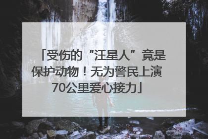受伤的“汪星人”竟是保护动物！无为警民上演70公里爱心接力