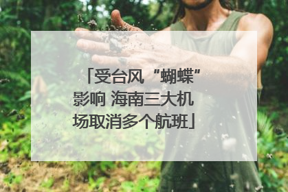 受台风“蝴蝶”影响 海南三大机场取消多个航班