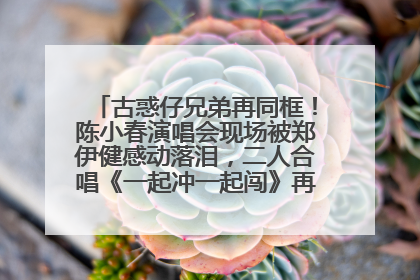 古惑仔兄弟再同框！陈小春演唱会现场被郑伊健感动落泪，二人合唱《一起冲一起闯》再现青春回忆
