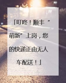 叮咚！顺丰“萌新”上岗，您的快递正由无人车配送！