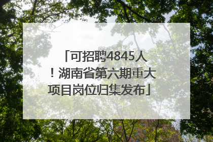 可招聘4845人！湖南省第六期重大项目岗位归集发布