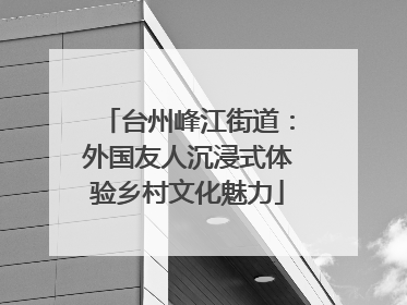 台州峰江街道：外国友人沉浸式体验乡村文化魅力