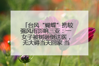 台风“蝴蝶”携较强风雨影响三亚：一女子被树砸倒送医，无大碍当天回家 当地已紧急清障