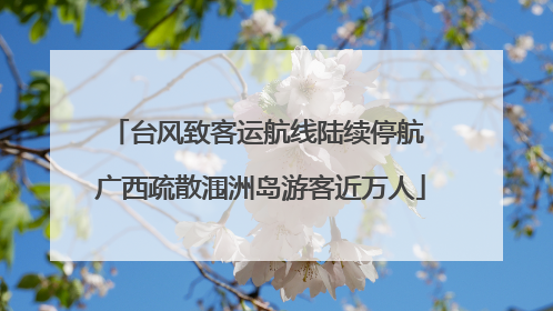 台风致客运航线陆续停航 广西疏散涠洲岛游客近万人