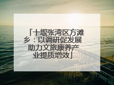 十堰张湾区方滩乡：以调研促发展 助力文旅康养产业提质增效