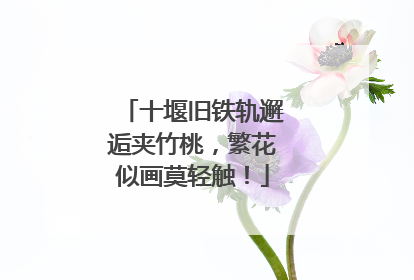 十堰旧铁轨邂逅夹竹桃，繁花似画莫轻触！
