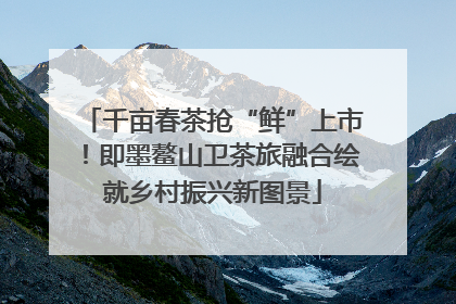千亩春茶抢“鲜”上市！即墨鳌山卫茶旅融合绘就乡村振兴新图景