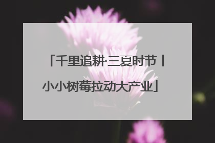千里追耕·三夏时节丨小小树莓拉动大产业
