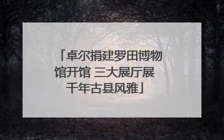 卓尔捐建罗田博物馆开馆 三大展厅展千年古县风雅