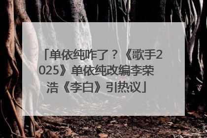 单依纯咋了？《歌手2025》单依纯改编李荣浩《李白》引热议