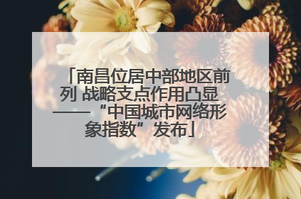 南昌位居中部地区前列 战略支点作用凸显——“中国城市网络形象指数”发布