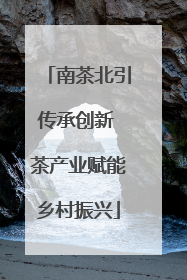 南茶北引传承创新 茶产业赋能乡村振兴