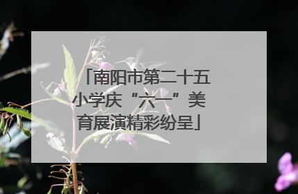 南阳市第二十五小学庆“六一”美育展演精彩纷呈