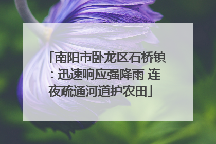 南阳市卧龙区石桥镇：迅速响应强降雨 连夜疏通河道护农田