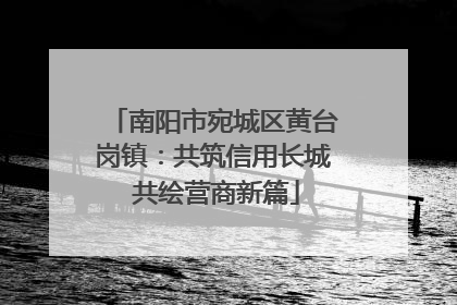 南阳市宛城区黄台岗镇：共筑信用长城 共绘营商新篇