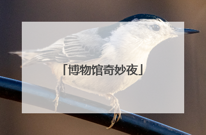 博物馆奇妙夜