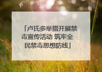 卢氏多举措开展禁毒宣传活动 筑牢全民禁毒思想防线