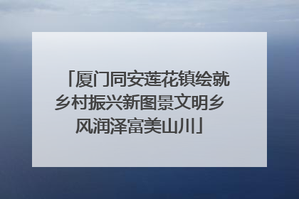 厦门同安莲花镇绘就乡村振兴新图景文明乡风润泽富美山川