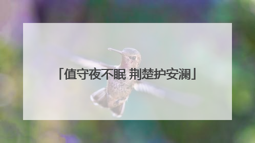值守夜不眠 荆楚护安澜