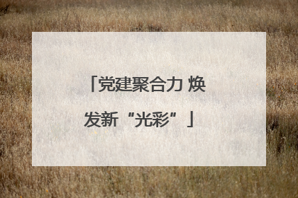 党建聚合力 焕发新“光彩”