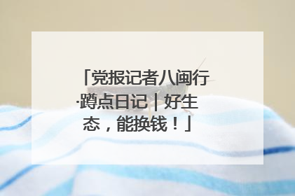 党报记者八闽行·蹲点日记｜好生态，能换钱！