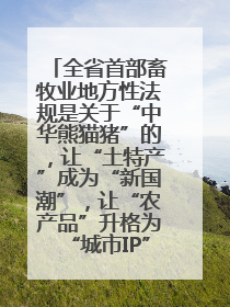 全省首部畜牧业地方性法规是关于“中华熊猫猪”的，让“土特产”成为“新国潮”，让“农产品”升格为“城市IP”