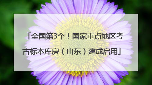 全国第3个！国家重点地区考古标本库房（山东）建成启用