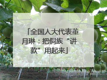 全国人大代表董月琳：把侗族“讲款”用起来