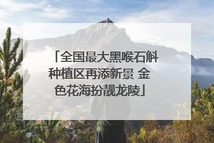 全国最大黑喉石斛种植区再添新景 金色花海扮靓龙陵