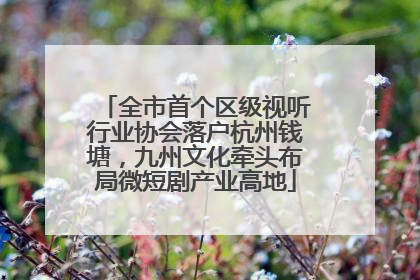 全市首个区级视听行业协会落户杭州钱塘，九州文化牵头布局微短剧产业高地