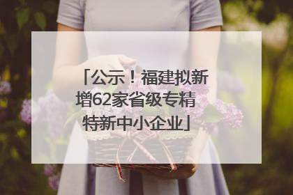 公示！福建拟新增62家省级专精特新中小企业