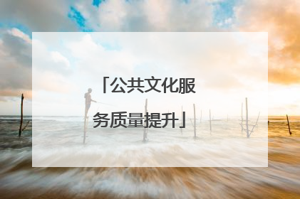 公共文化服务质量提升