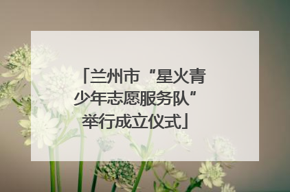 兰州市“星火青少年志愿服务队”举行成立仪式