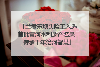 兰考东坝头险工入选首批黄河水利遗产名录 传承千年治河智慧