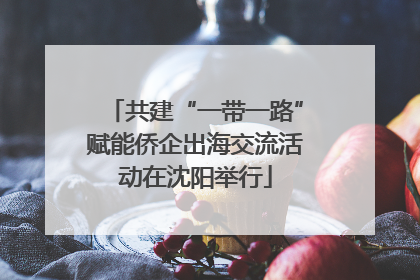 共建“一带一路”赋能侨企出海交流活动在沈阳举行