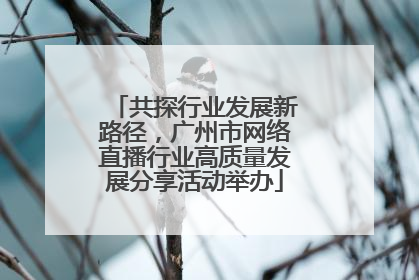 共探行业发展新路径，广州市网络直播行业高质量发展分享活动举办