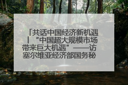 共话中国经济新机遇丨“中国超大规模市场带来巨大机遇”——访塞尔维亚经济部国务秘书尼科利奇