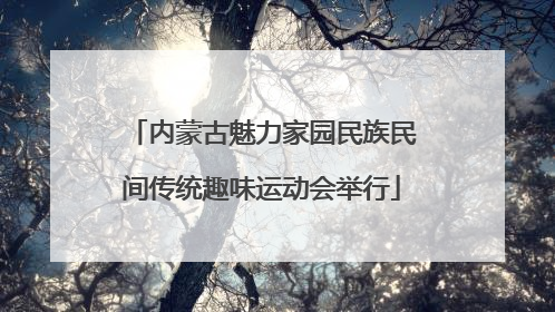内蒙古魅力家园民族民间传统趣味运动会举行