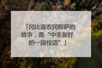 冈比亚农民穆萨的故事，是“中非友好的一段佳话”