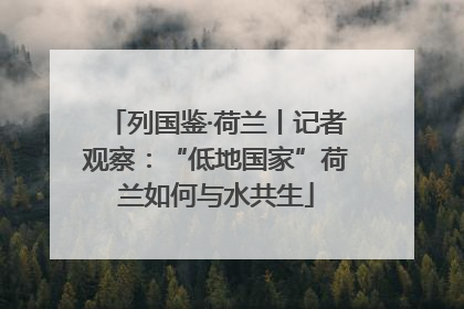 列国鉴·荷兰丨记者观察：“低地国家”荷兰如何与水共生