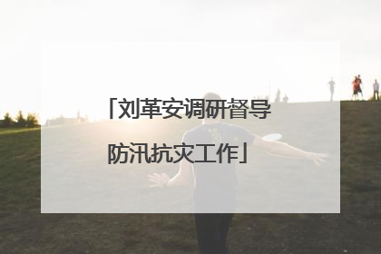 刘革安调研督导防汛抗灾工作