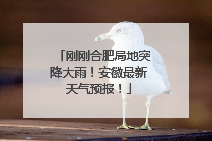 刚刚合肥局地突降大雨！安徽最新天气预报！