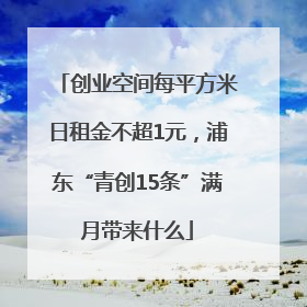 创业空间每平方米日租金不超1元，浦东“青创15条”满月带来什么