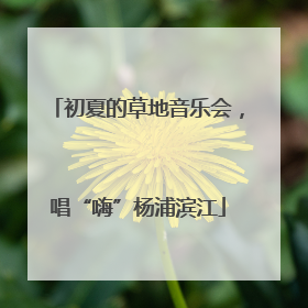 初夏的草地音乐会，唱“嗨”杨浦滨江